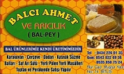 Balcı Ahmet ve Arıcılık